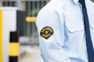 Vigilante de Seguridad - Serlingo Seguridad Privada Madrid